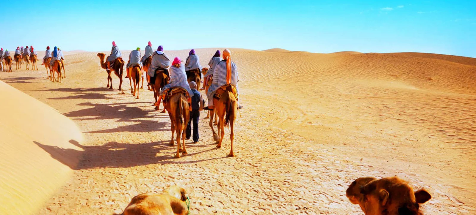 header-charismatic-rajasthan