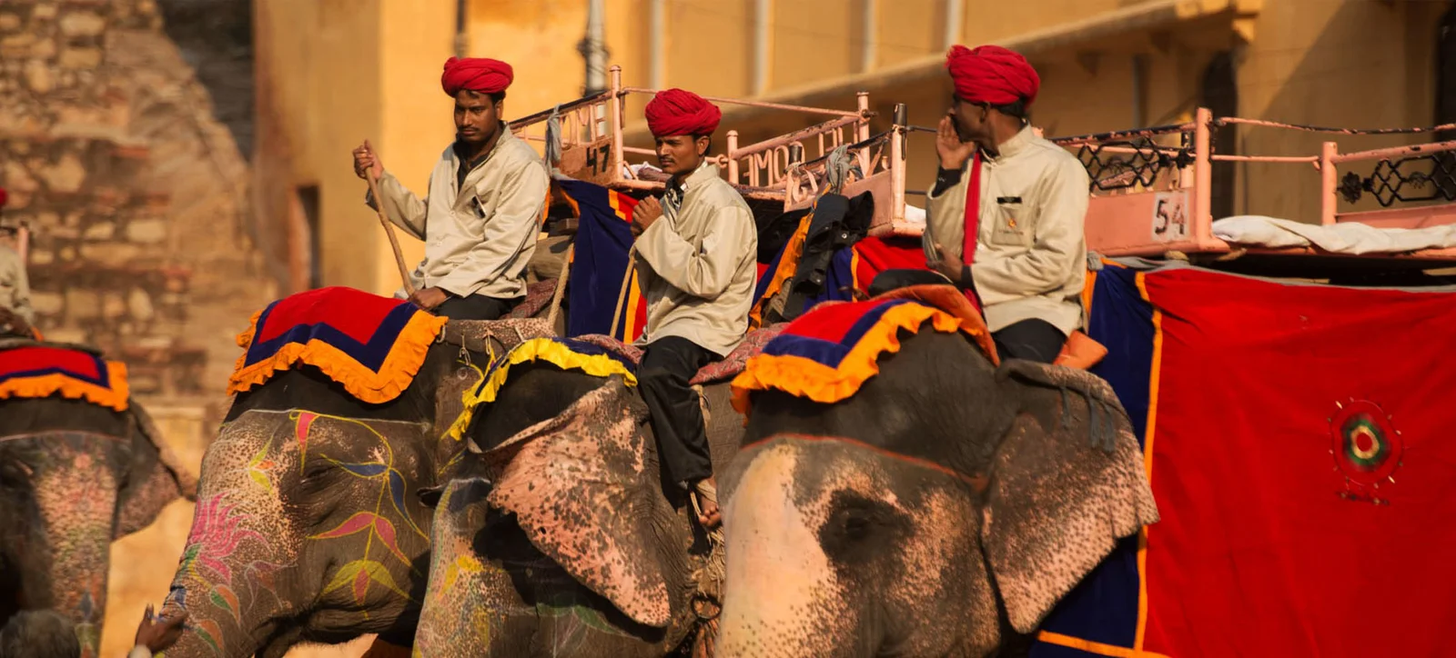 header-colorful-rajasthan